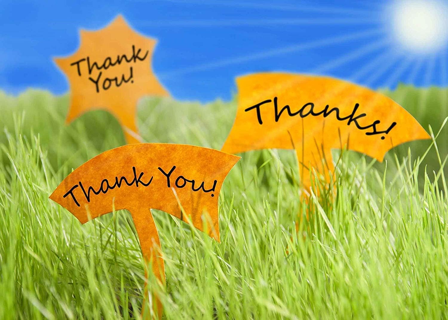 Thanks meaning