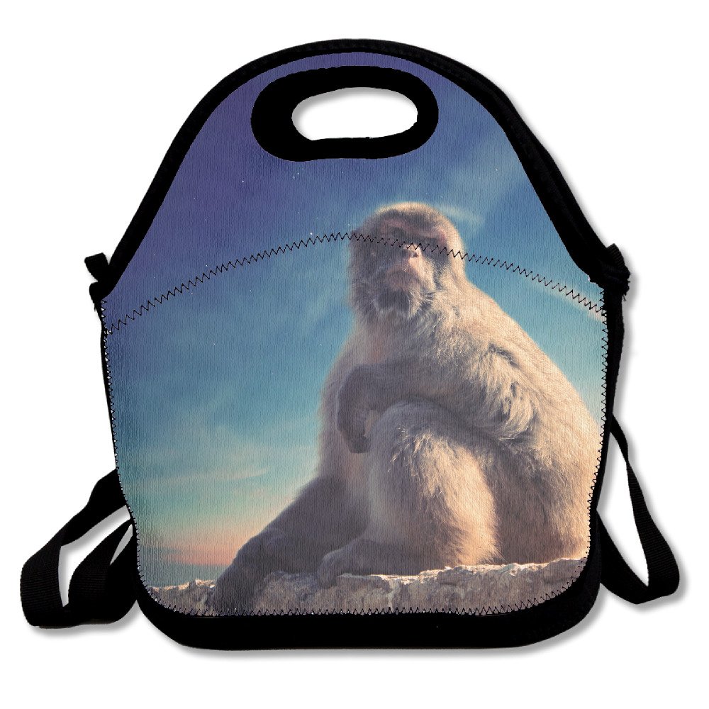 futonghuaxia monkey-animal-blue sky-overlook Durable al aire libre ...
