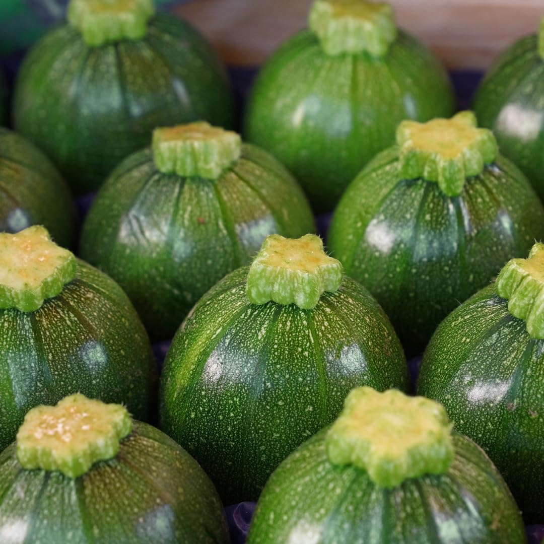 PREMIER SEEDS DIRECT - Italian COURGETTE - Eight Ball - 10 Finest Seeds