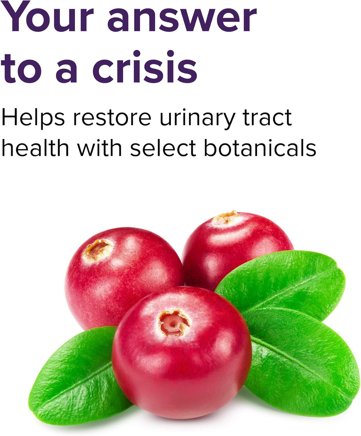 Vibrant Health - U.T. Vibrance, 10 Servings: Health & Personal Care