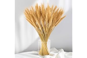 Sukh 100 Stems Dried Wheat Stalks for Decor - Sheaves Grass Natural Bunch Flowers Home Wedding Table Kitchen Boho Farmhouse Fall Arrangement DIY Decoration 12.9 Inches
