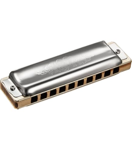 Amazon.com: Seydel Harmonica (Blues SOLIST PRO C) : Musical