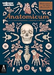 Anatomicum