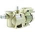 Amazon.com : Hayward SP2302VSP Max-Flo VS Variable-Speed