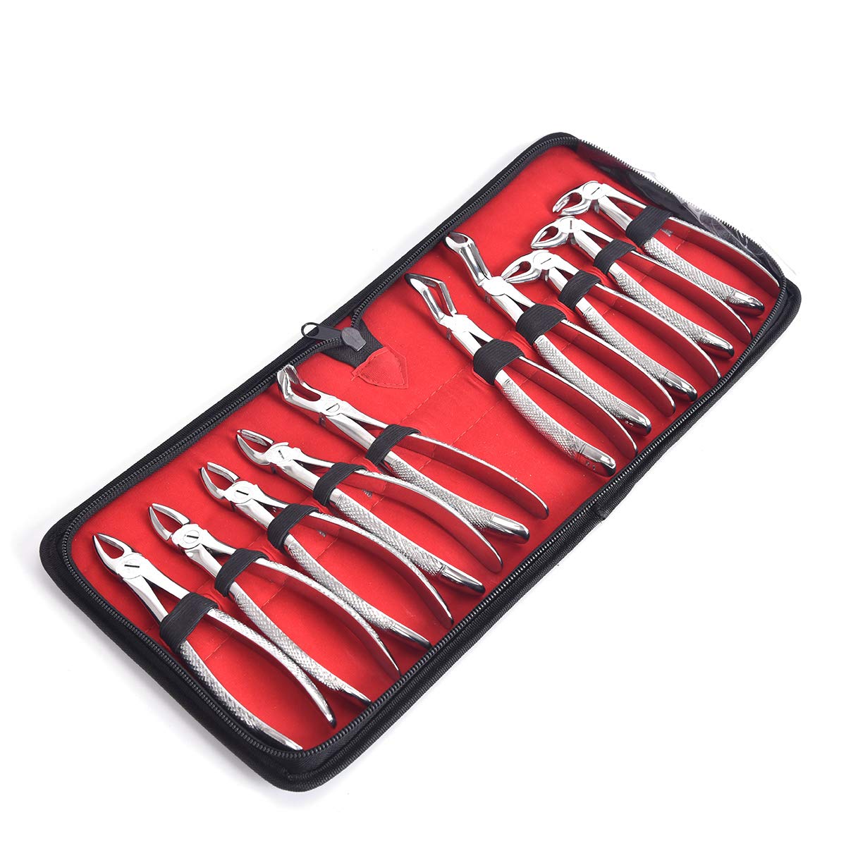 Annhua Dental Professional Extraction Forceps Kit Of 10PCS, Tooth