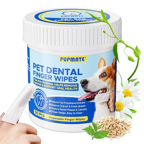 PUPMATE DENTAL CARE WIPES FOR DOG & CAT- TEETH CLEANING FINGER WIPES FOR PLAQUE AND TARTAR REMOVAL, SAFE & GENTLE DISPOSABLE TOOTHBRUSH WIPES FOR FRESH BREATH & GUM CARE – 50 PCS