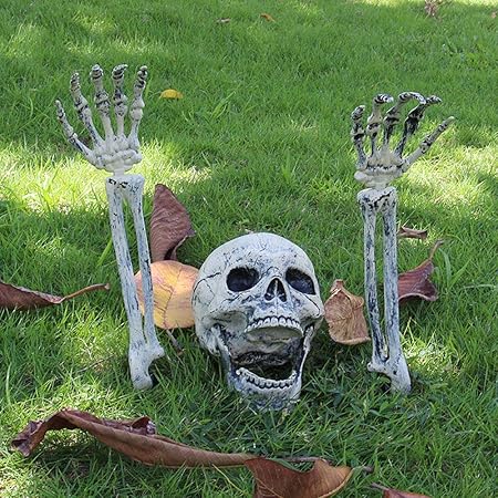 Amazon Com Realistic Skull And Forearms Skeleton Stakes