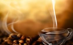 Value buy Gano Excel Mocha Coffee Ganoderma Lucidum