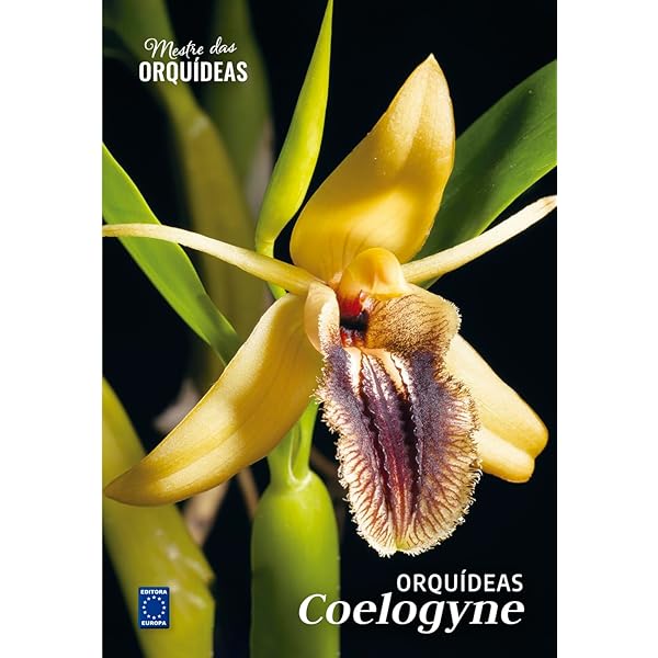 Mestre das Orquídeas - Volume 17: Micro-orquídeas brasileiras
