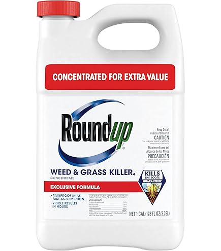 Amazon.com : Makaze Herbicide 41% Glyphosate Generic 2.5 Gallon Jug :  Patio, Lawn & Garden