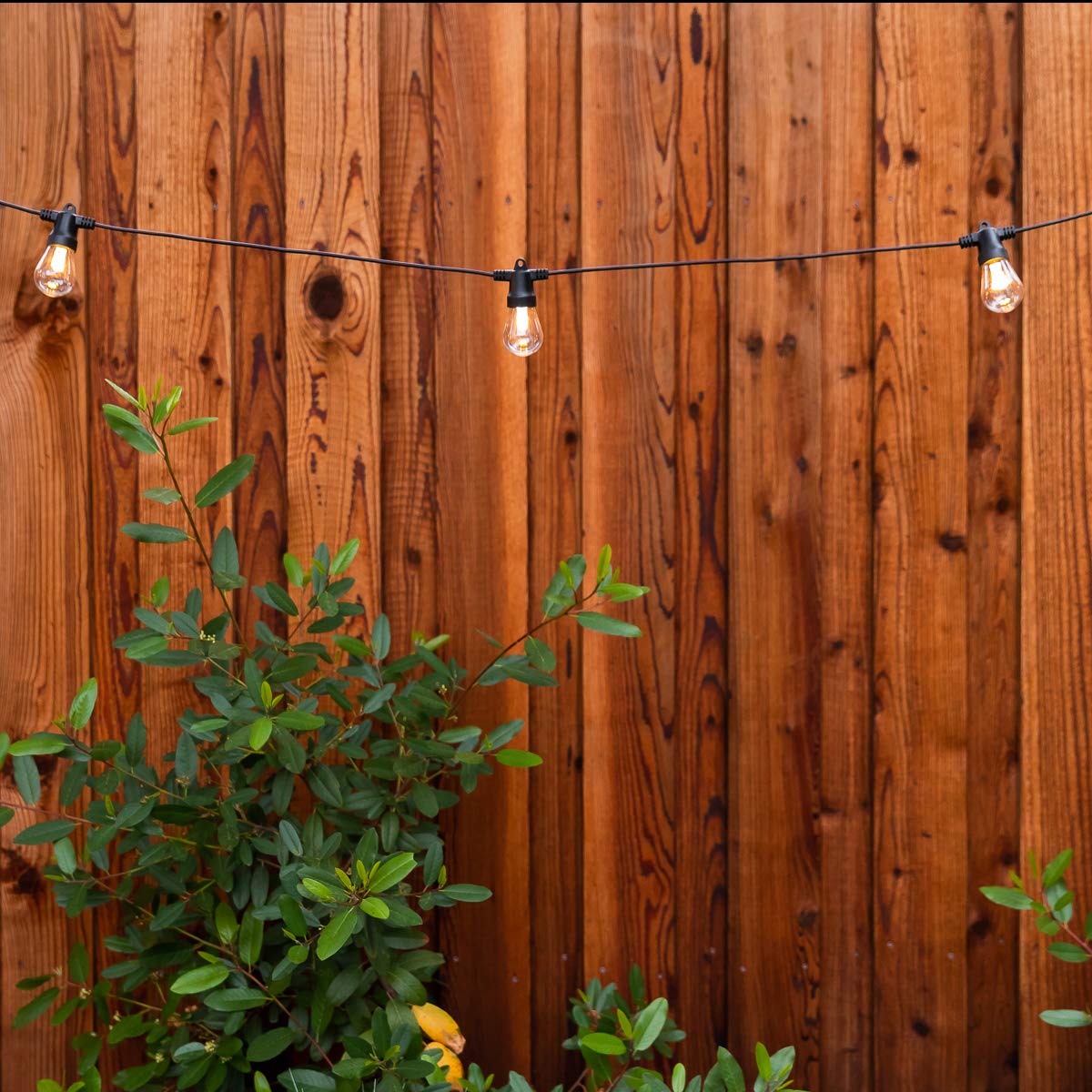 Brightech Ambience Pro Waterproof LED Outdoor Solar String Lights