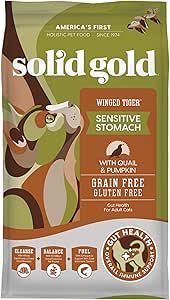 lab mixed with small dog