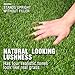Forest Grass 7FT x 13FT Artificial Carpet Fake Grass Synthetic Thick Lawn Pet Turf for Dogs Perfect for Indoor/Outdoor, 13 7 91 Square ft, Green