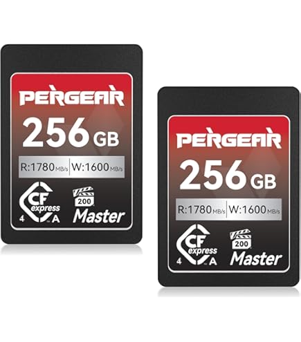 Amazon.com: Lexar Gold Series Professional 160GB CFexpress Type-A