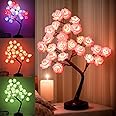 Fanshunlite Gift for Easter and Mother's Day, Table Lamp Rose Flower Tree Decors with 18 Colors Changing, Colorful Lighted Rose Tree 24 LED Bonsai Tree Light for The Home Wedding Dinner Party, Red