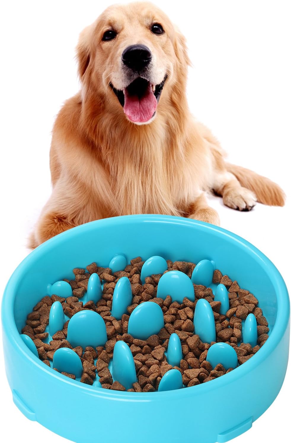 Amazon Com Jasgood Slow Feeder Dog Bowl New Arriving Fun Feeder