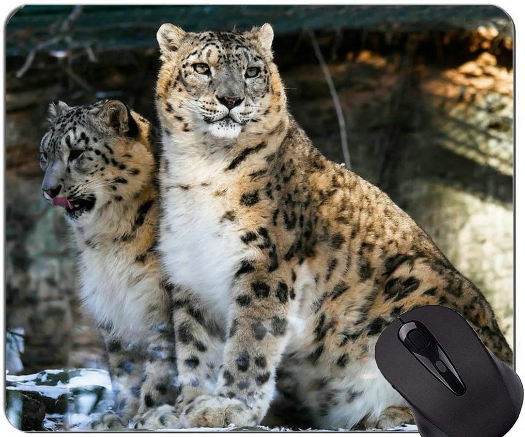 Custom Original Leopard Series Mouse Pad,Leopard Cat Family Leopard Mouse Pads