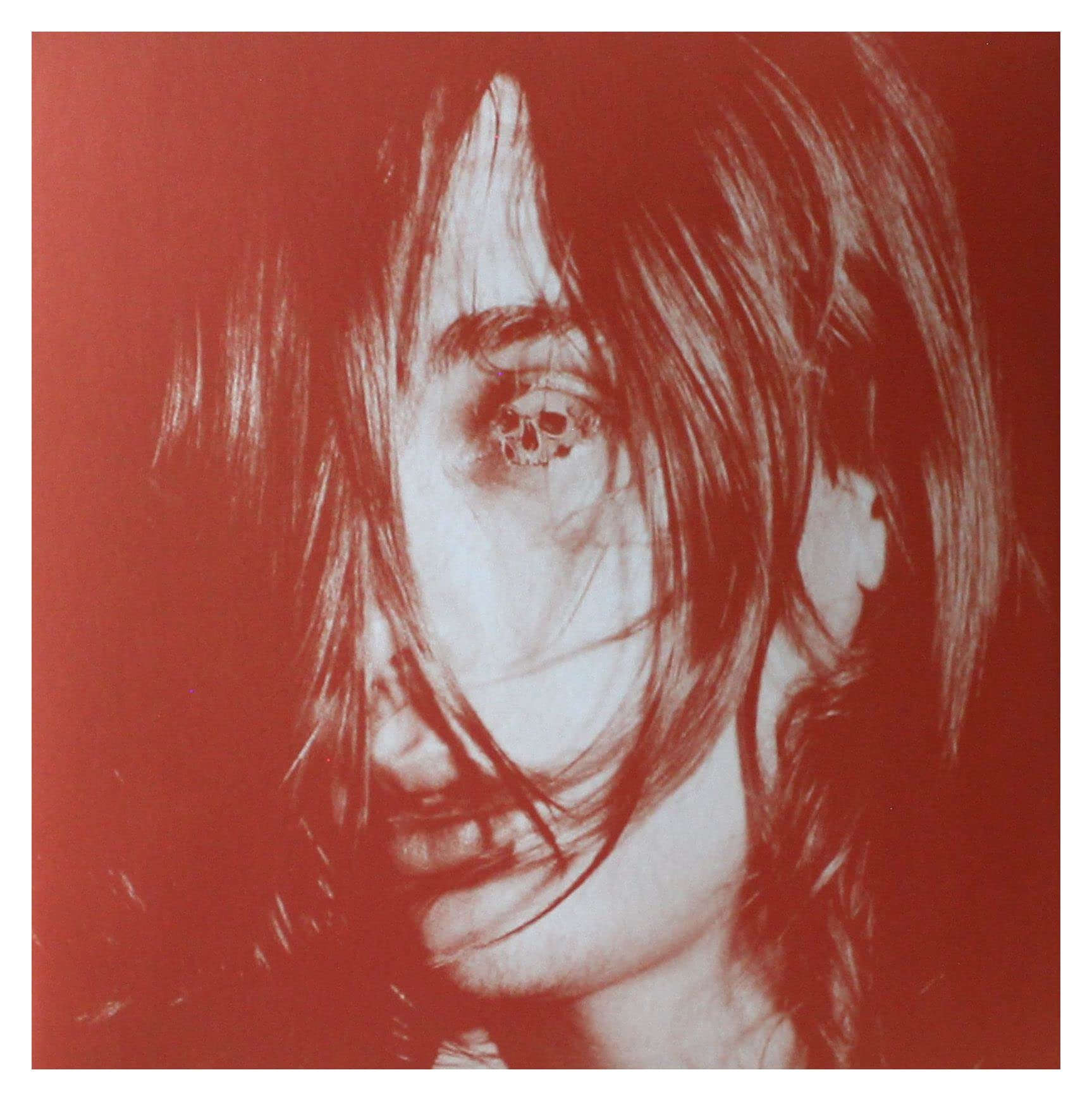 Microcastle/Weird Era Continued [VINYL]