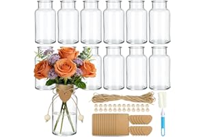12PCS Vintage Glass Flower Vase, Mason Jars for Centerpiece