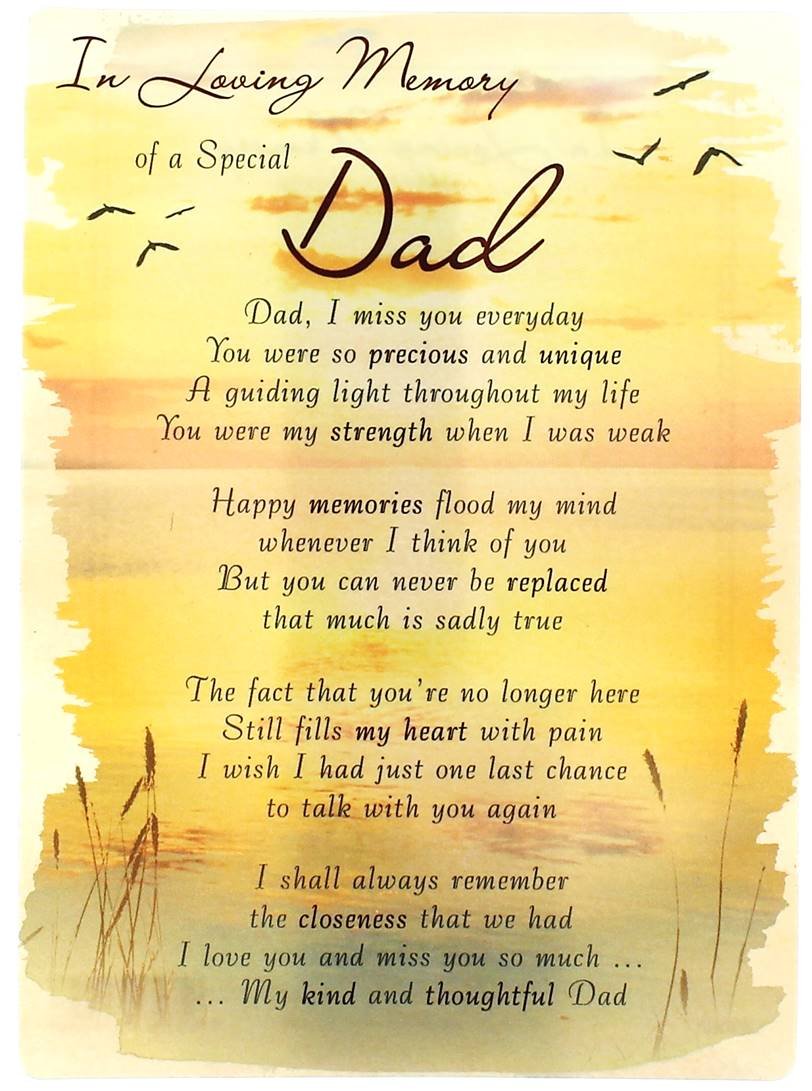 Special Grandad In Loving Memory Memorial Photo Frame Precious Memories