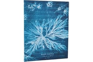 Sea Flowers Ultra Lined Softcover Journal, 176pg, 100GSM, Treasures of The New York Public Library by Paperblanks (Anna Atkin