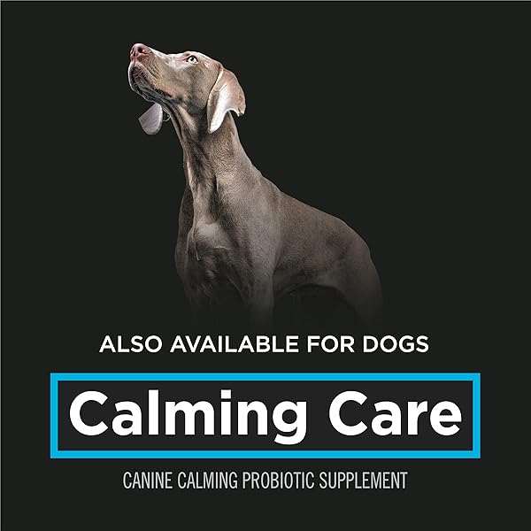PURINA PRO PLAN VETERINARY SUPPLEMENTS CALMING CARE CAT SUPPLEMENTS – 30 CT. BOX