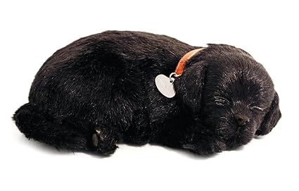 Perfect Petzzz 4910 – Plüschhund – Labrador – schwarz