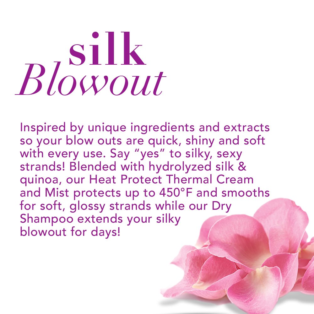 OGX Protecting + Silk Blowout Quick Drying Thermal Spray, 6 Ounce (64052): Beauty