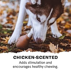 Barkbox Super Chewer Tough Dog Chew Toys for