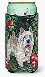 Caroline's Treasures PPP3116TBC Norwich Terrier