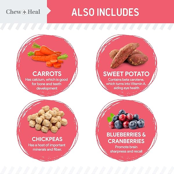 CHEW + HEAL LABS DOG SALMON JERKY FOR PUPPIES – 12 OZ OF WILD CAUGHT ALASKAN SALMON JERKY FOR PUPPY DEVELOPMENT WITH CHICKPEAS, CARROTS, SWEET POTATO, AND FRUIT – MADE IN THE USA