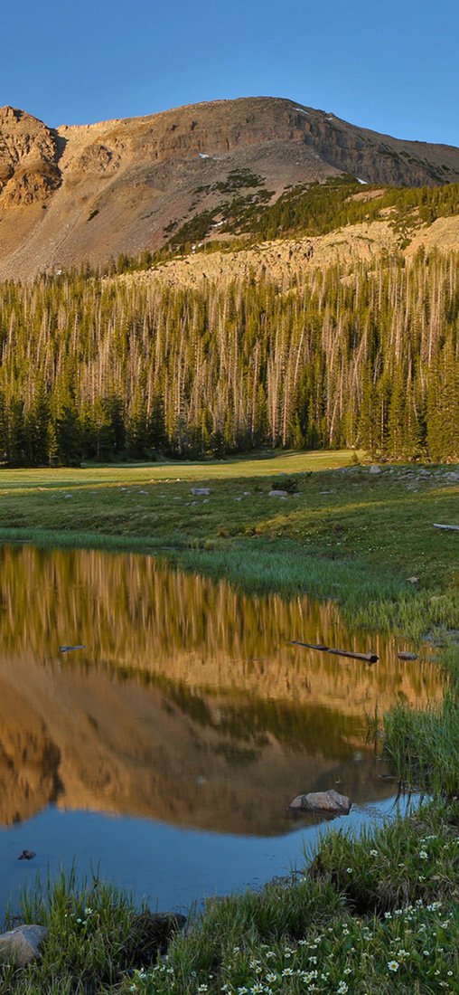 PeelitStickit, Beautiful Nature Wall Murals, ID-2835, vinyl