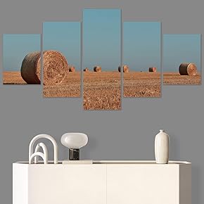 SIGNWIN 5 Panel Canvas Wall Art Modern Art...