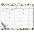 S&O Fruity Magnetic Fridge Calendar from July 2025-Dec 2026 - Tear-Off Refrigerator Calendar to Track Events & Appointments -