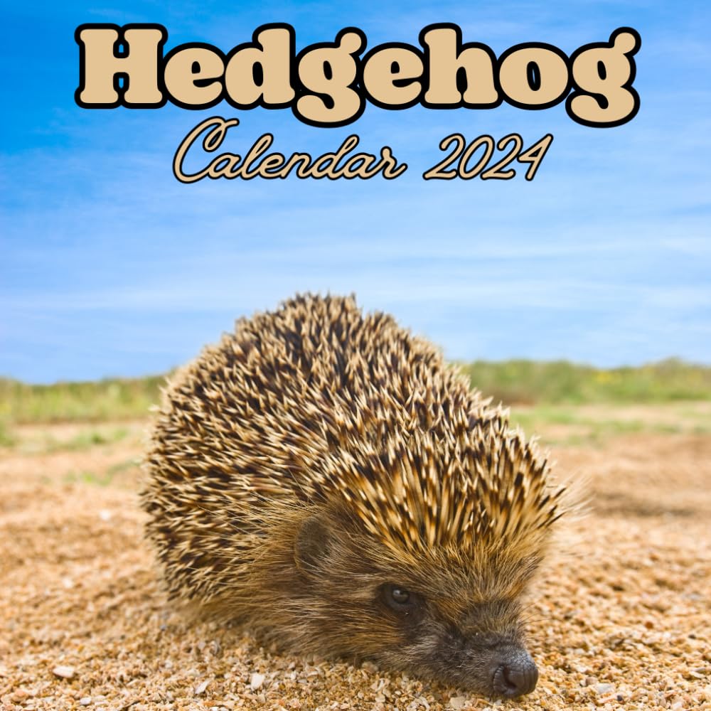 Hedgehog Calendar 2024: 16 Months ,Organizer From September 2023 to December 2024 ,For Hedgehog lovers , Mens , Womens