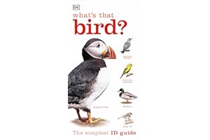 What's that Bird?: A Beginner's Guide