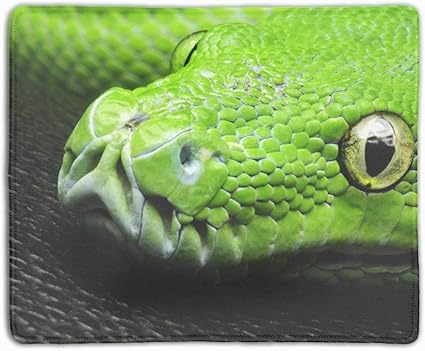 Amazon ゲーミングマウスパット キャラクター 自然動物黄色い目ヘビ緑肌 Chiqueb マウスパッド 通販