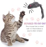 Fuyamp 2 Packs Door Hanging Cat Toy Interactive Mice Chasing Exercise view 5