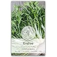 Gaeas Blessing Seeds - Endive Seeds - Green Curled Ruffec Non-GMO Seeds with Easy to Follow Planting Instructions - Heirloom 90% Germination Rate