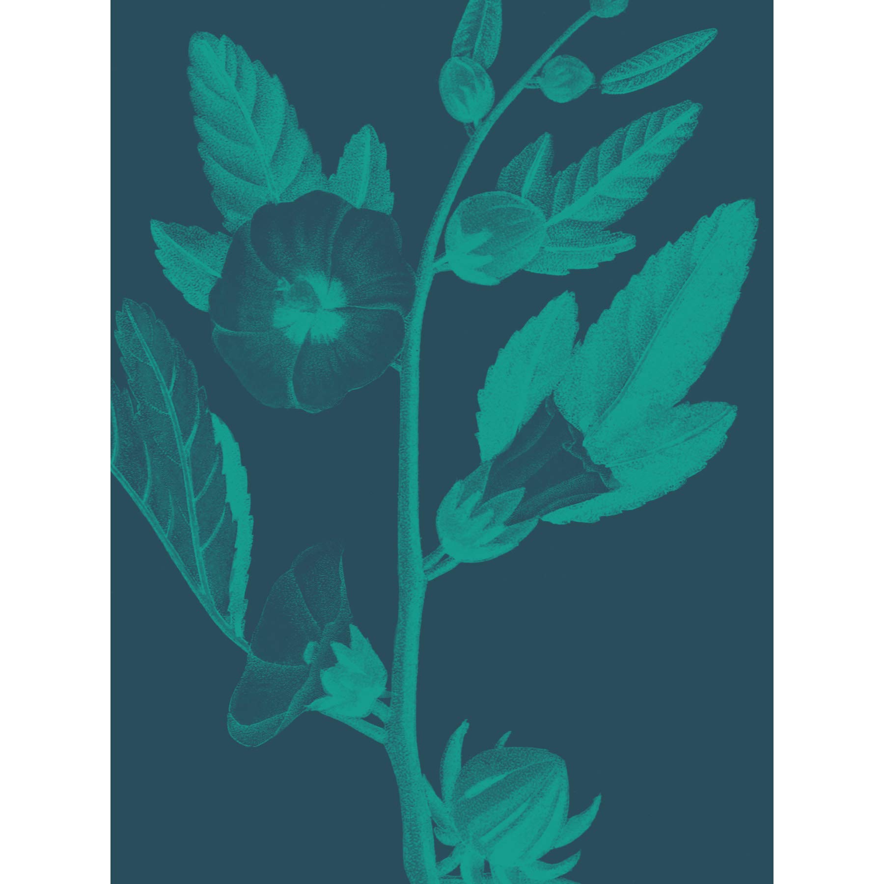 Wee Blue Coo Navy And Teal Flowers Art Print Poster Wall Decor