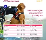 Julius-K9 Powerharness 3XS Baby Anthracite Chest 29-36 cm 0.8-3 kg view 3
