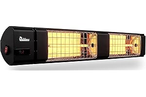 Dr. Infrared Heater 10,260 BTU Infrared Heater, Indoor and Outdoor Heater for Patio, Garage, Commercial & Residential, 3000W, 220-240V with Remote, Black