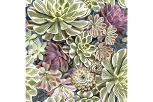 IHR Ideal Home Range - Paper Napkins SUKKULENT 20-Count 3-Ply Cocktail Napkins 5 x 5 inches