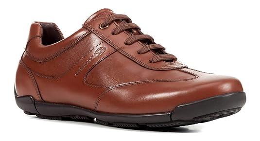 Geox Männlich U Edgware C Sneaker Low