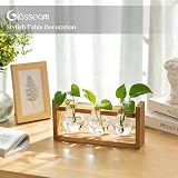 Glasseam Propagation Station 3 Pcs Glass Vase with Wooden Stand view 8