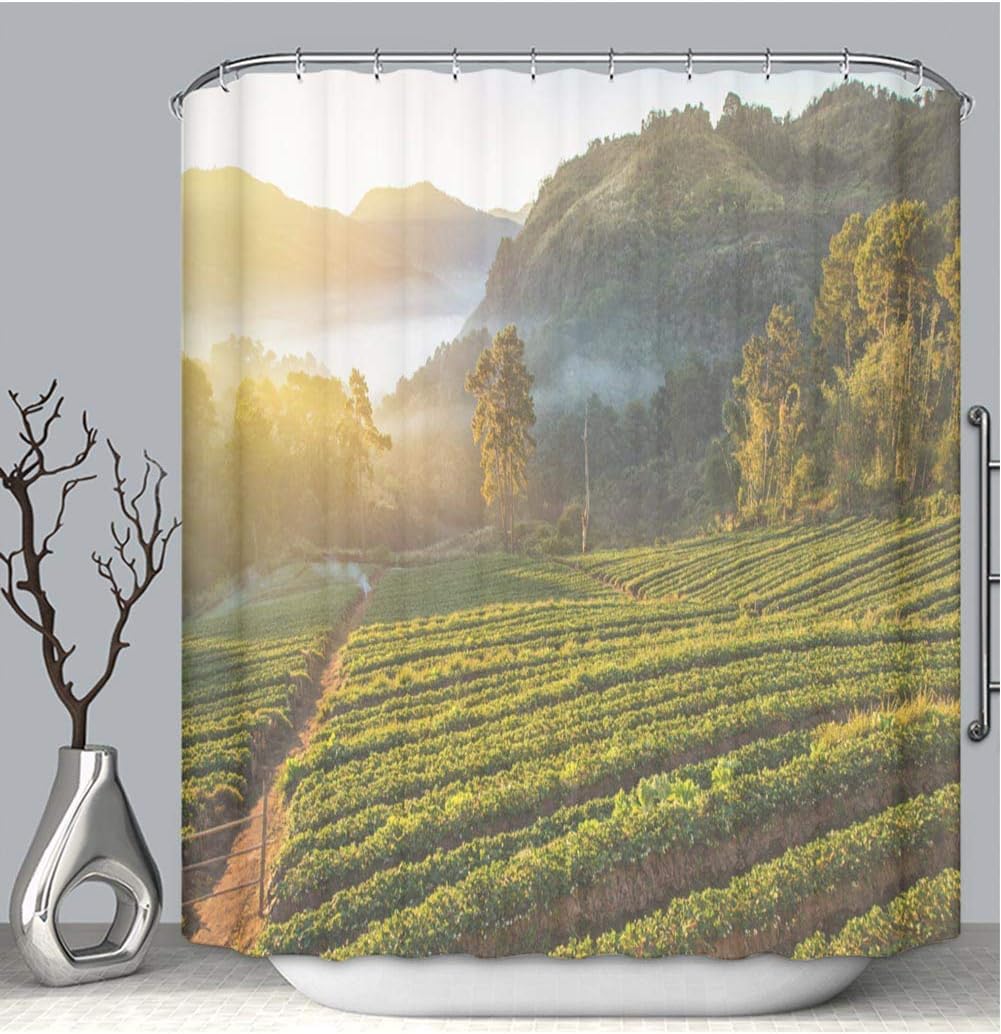 Best Terraced Strawberry Garden Bed