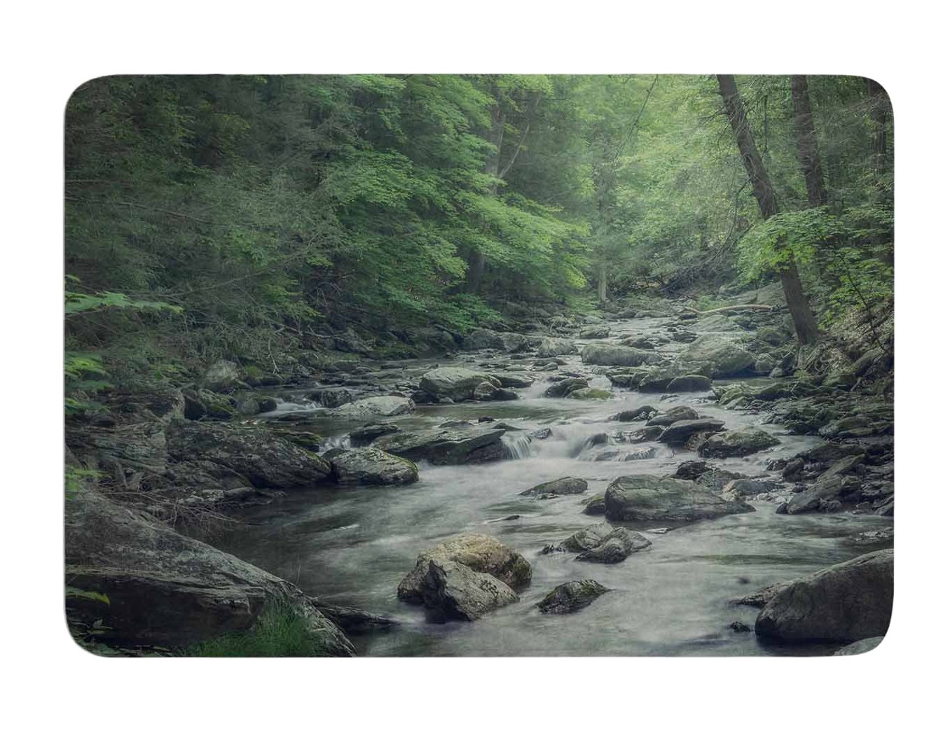Suzanne InHouse Kess Harford 24 X 17 24Inch, by 17 Mat