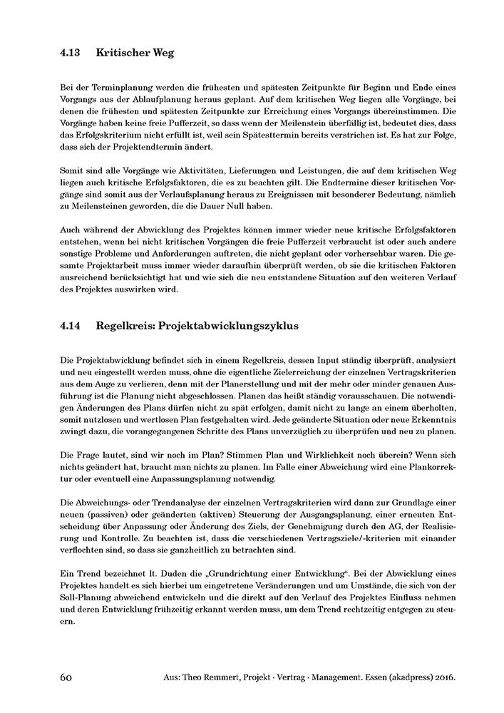 Vertrag Projekt Management Amazon De Theo Remmert Bucher