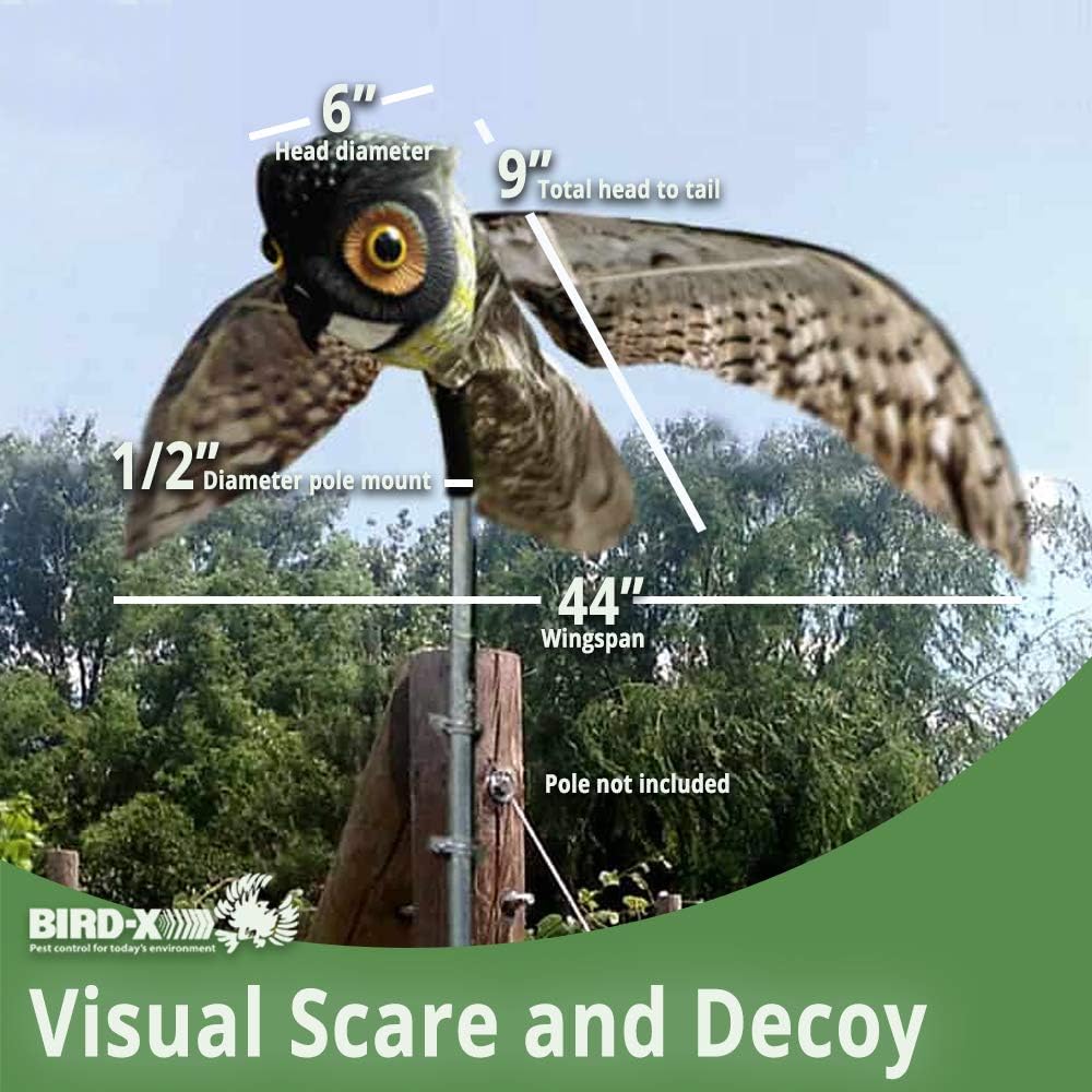 Amazon Com Bird X Prowler Fake Owl Moving Wings Realistic Bird Scare Hawk Pigeon And Squirrel Repellent Pest Deterrent Decoy Bird Repellents Garden Outdoor