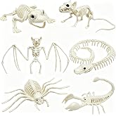 CAMIRUS 6Pack Animal Halloween Skeletons, Realistic Animal Skeleton | Plastic Skeleton Halloween Decorations for Patio Yard Garden Lawn, Bendable Tails, Movable Jaws, Bat, Spider, Snake